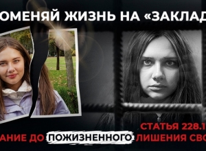 банеры02