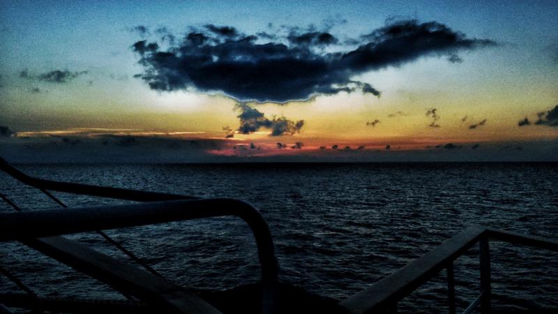 IMG-20181207-WA0031